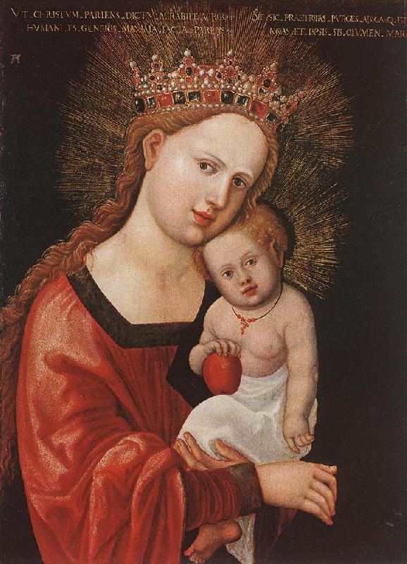 ALTDORFER, Albrecht Mary with the Child  kkk oil painting picture